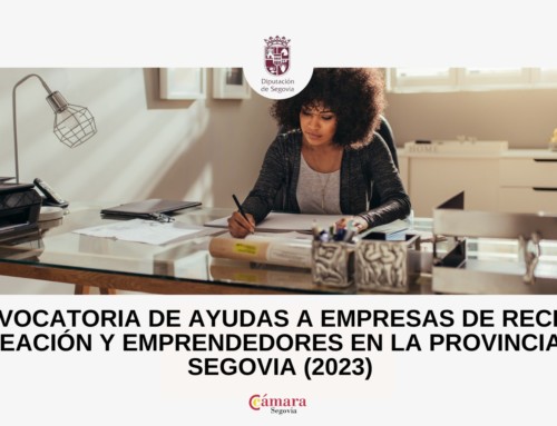 CONVOCATORIA DE AYUDAS A EMPRESAS DE RECIENTE CREACIÓN Y EMPRENDEDORES EN LA PROVINCIA DE SEGOVIA (2023)