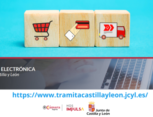 La Consejería de Industria, Comercio y Empleo convoca ayudas para apoyar la digitalización del comercio en Castilla y León.