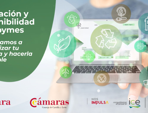 NDP – La Cámara de Comercio de Segovia y la Junta de Castilla y León desarrollan una serie formativa de 11 sesiones adaptadas a las necesidades digitales y de sostenibilidad de las pymes